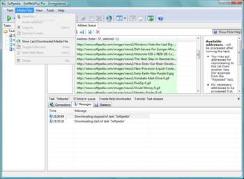 GetWebPics Professional Edition screenshot 2