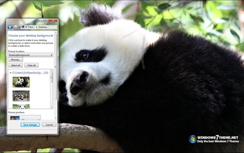 Giant Panda Windows 7 Theme screenshot