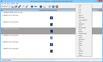 GIF Construction Set Professional screenshot