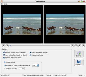 GIF Optimizer screenshot 2
