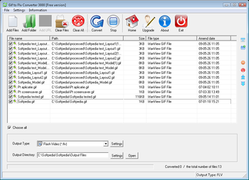 Gif to Flv Converter 3000 screenshot