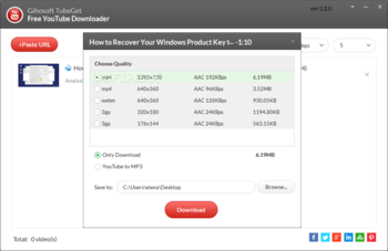 Gihosoft TubeGet screenshot 2