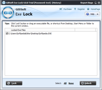 GiliSoft Exe Lock screenshot