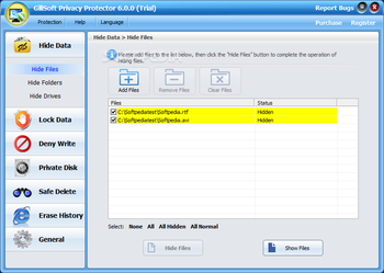 GiliSoft Privacy Protector screenshot