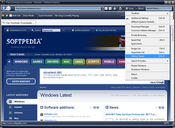 GINternet Explorer screenshot 2