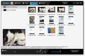 GizmoRip screenshot 3