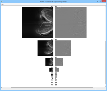 GLAP - Gaussian & Laplacian Pyramids screenshot