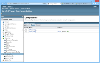 GlassFish screenshot 10