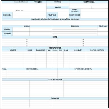 Global MedicalSheet screenshot 2