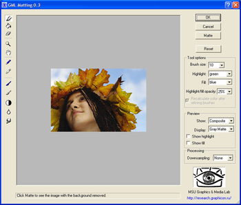 GML Matting screenshot