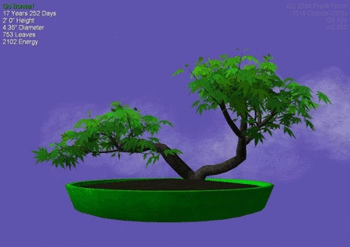 Go Bonsai screenshot