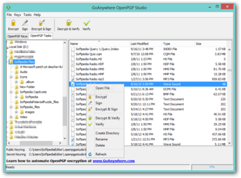 GoAnywhere OpenPGP Studio screenshot 3
