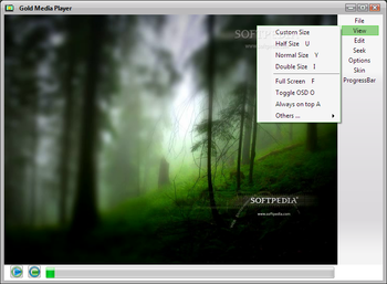 Gold Media Player screenshot 2