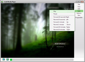 Gold Media Player screenshot 4