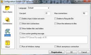 Golden FTP Server Pro screenshot 5