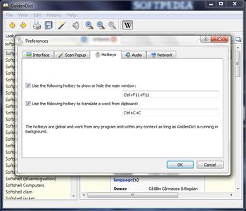 GoldenDict screenshot 7