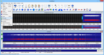 GoldWave screenshot 3