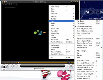 Gom Player nLite Addon screenshot 3