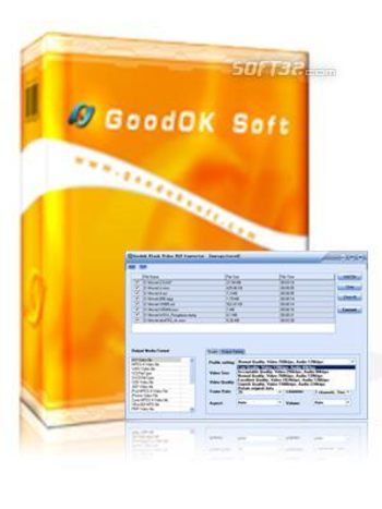 GoodOK Flash Video FLV Converter screenshot 3