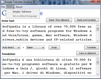 Google Translate Desktop screenshot 2