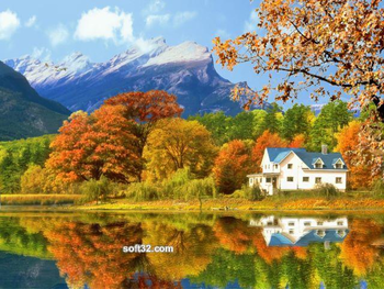 Gorgeous Fall Foliage 3D Screensaver screenshot