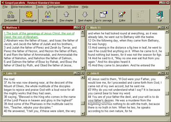 Gospel Parallels screenshot 3