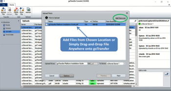 goTransfer File Transfer Console screenshot 2