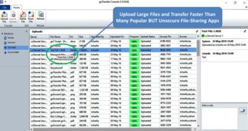 goTransfer File Transfer Console screenshot 3