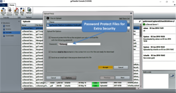 goTransfer File Transfer Console screenshot 4