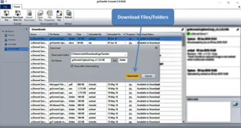 goTransfer File Transfer Console screenshot 6