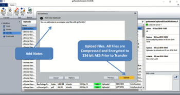 goTransfer File Transfer Console screenshot 7