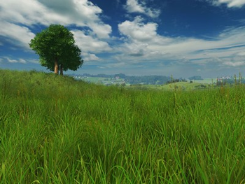 Grassland 3D Screensaver and Animated Wallpaper screenshot