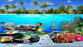 Great Barrier Reefs screenshot