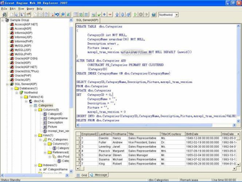 Great Engine Web DB Browser 2007 screenshot 3