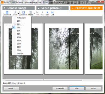 Greatis Image Print Wizard screenshot 2