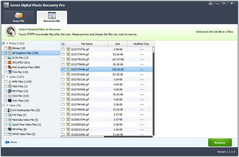 Green Digital Photo Recovery Pro screenshot