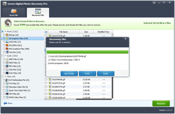 Green Digital Photo Recovery Pro screenshot 4