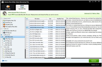 Green Pen Drive Data Recovery screenshot 4