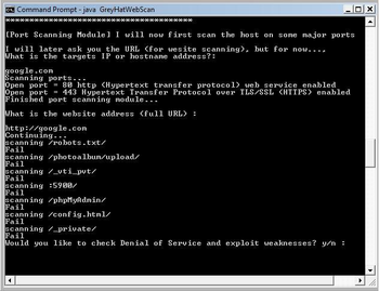 GreyHat Web Scanner screenshot