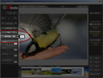 GTGrafix screenshot 10
