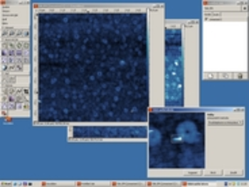 Gwennel screenshot