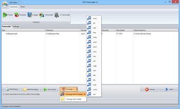 GX::Transcoder screenshot 8