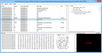 H.264 Video ES Viewer Pro screenshot