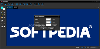 HanCapture screenshot 4