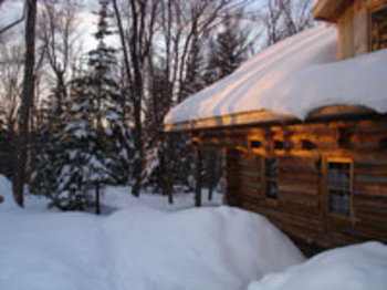 Handcrafted Log Homes and Log Cabin Screensaver screenshot 2