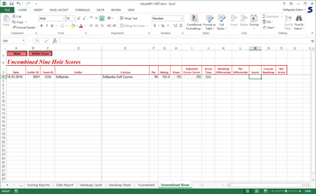 Handicap Manager for Excel screenshot 12