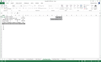 Handicap Manager for Excel screenshot 9