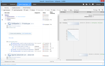 Hansoft Professional screenshot 8