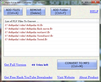 Hash FLV to MP3 Converter screenshot