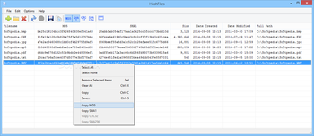 HashFiles screenshot